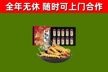 牡丹区回收冬虫夏草价格