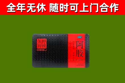 牡丹区回收阿胶