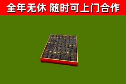 牡丹区回收海参